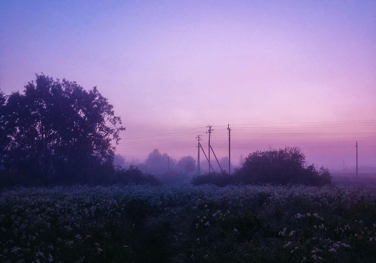 成兴国投:以人为本 以文兴业|泰兴市|泰州市|江苏省|文化|体育_新浪新闻